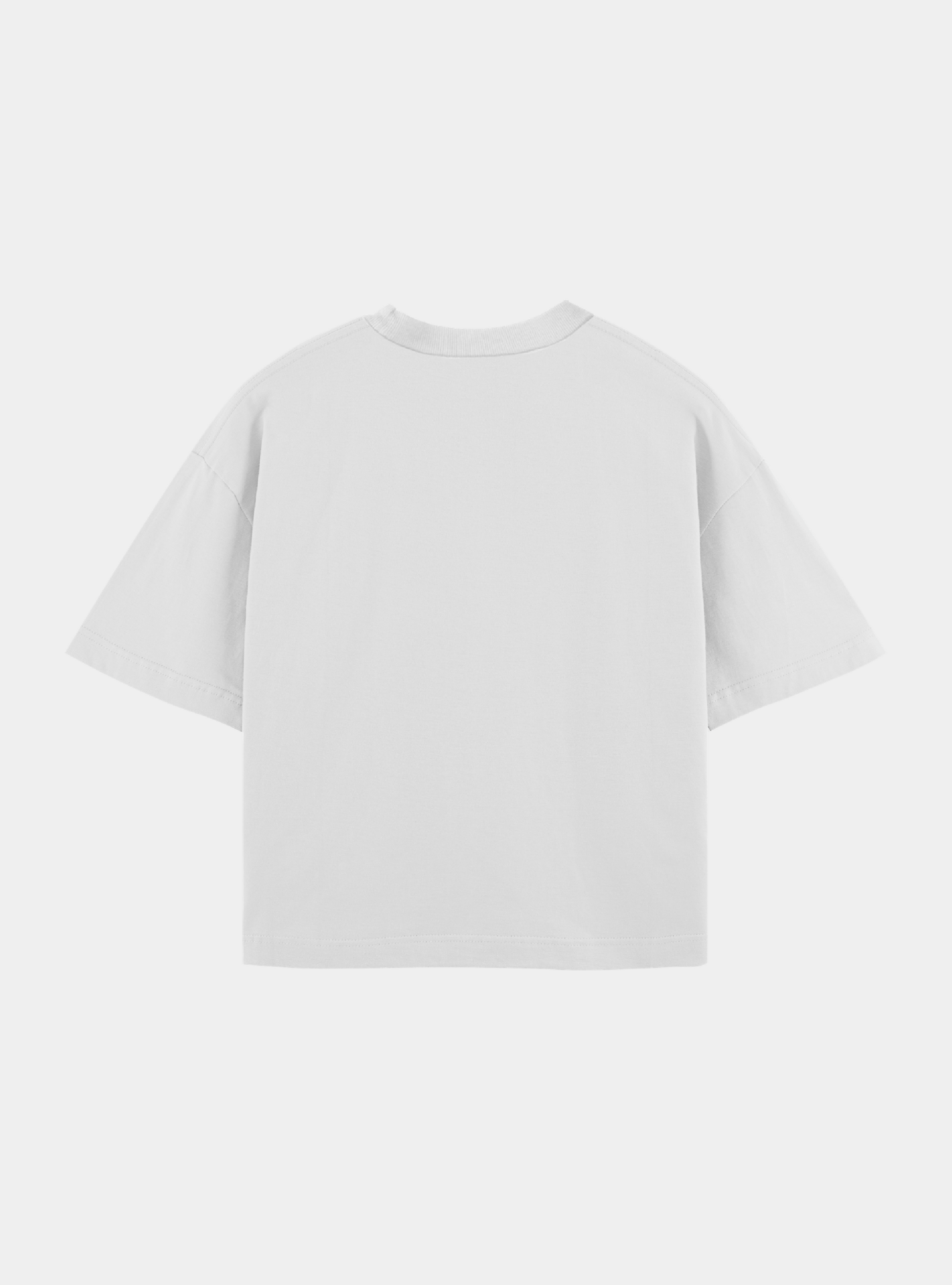 Boxy Vintage Tee – Blank