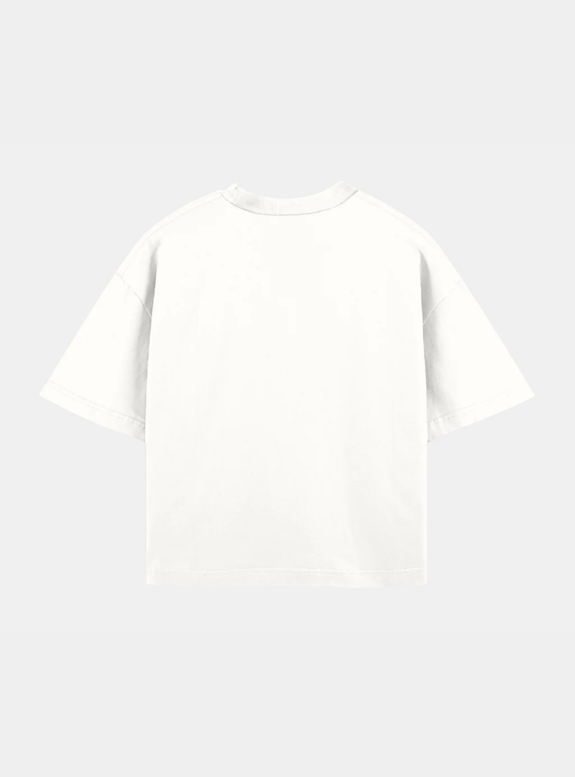 Boxy Vintage Tee – Blank